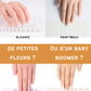 Bandes de Gel - Fantaisies