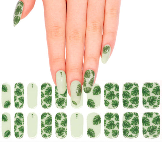 Bandes de Gel - Fantaisies